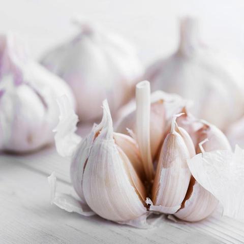 Wie man effektiv gegen Knoblauchmundgeruch vorgeht Wie man effektiv gegen Knoblauchmundgeruch vorgeht