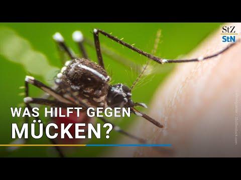 Was tun gegen lästige Schnaken? 10 wirkungsvolle Tipps und Hausmittel Was tun gegen lästige Schnaken? 10 wirkungsvolle Tipps und Hausmittel