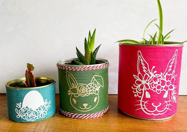 Mini Pflanzen im DIY Blumentopf: Kleines Geschenk zum Selbermachen Mini Pflanzen im DIY Blumentopf: Kleines Geschenk zum Selbermachen