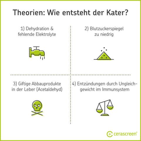 Natürliche Methoden zur Linderung von Übelkeit bei einem Kater Natürliche Methoden zur Linderung von Übelkeit bei einem Kater