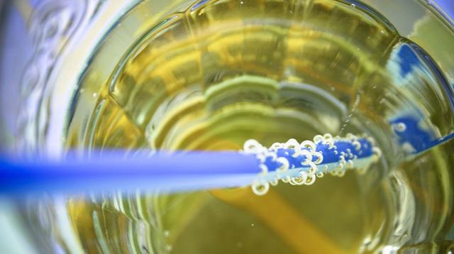 Gesunde und nachhaltige Elektrolytgetränke selbst herstellen Gesunde und nachhaltige Elektrolytgetränke selbst herstellen