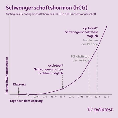 Der richtige Zeitpunkt für einen Frühschwangerschaftstest Der richtige Zeitpunkt für einen Frühschwangerschaftstest
