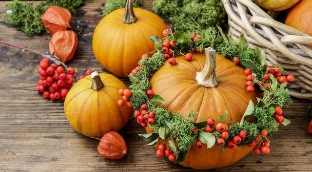 Wann startet die Herbstdekoration? Die besten Tipps und Tricks.