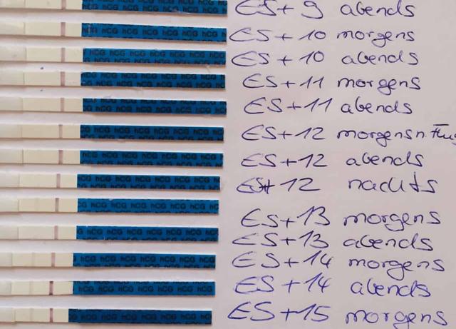 Ab wann ist ein Schwangerschaftstest nach dem Eisprung positiv? Ab wann ist ein Schwangerschaftstest nach dem Eisprung positiv?