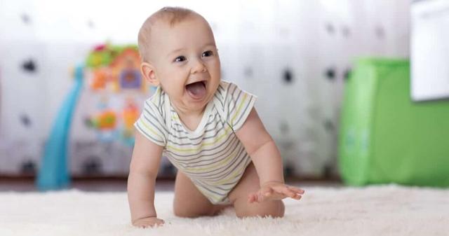 Die Entwicklung des Robbens bei Babys: Ab wann beginnt es? Die Entwicklung des Robbens bei Babys: Ab wann beginnt es?