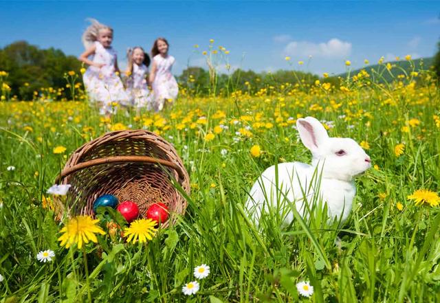 Frühzeitige Ostergrüße oder erst am Ostersonntag? Richtlinien für das Wünschen von "Frohe Ostern" Frühzeitige Ostergrüße oder erst am Ostersonntag? Richtlinien für das Wünschen von "Frohe Ostern"