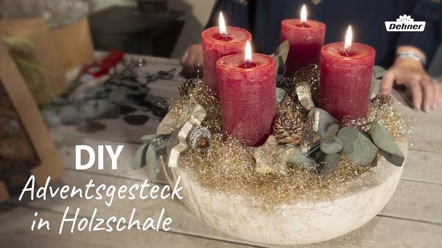 Anleitung: Adventsgesteck in Schale selber machen