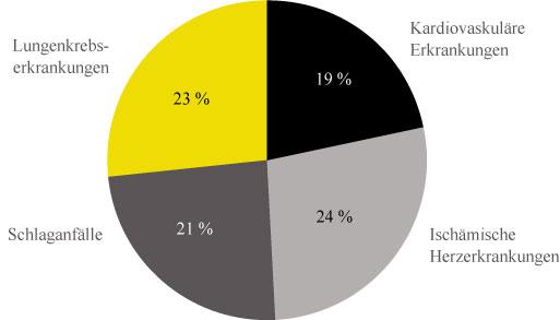 Gesundheitsrisiken durch Umweltverschmutzung