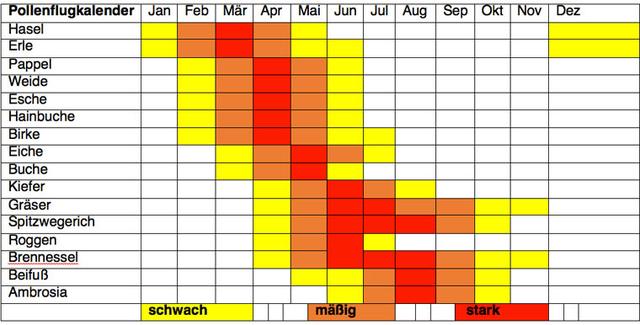 Aktuelle Blütezeit: Welche Pflanzen verursachen derzeit allergische Reaktionen?
