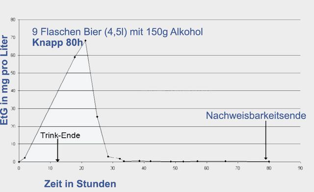 Die Zeitspanne der Nachweisbarkeit von Alkohol im Blut Die Zeitspanne der Nachweisbarkeit von Alkohol im Blut