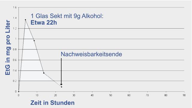 Alkohol im Blut: Wie lange kann man ihn nachweisen? Alkohol im Blut: Wie lange kann man ihn nachweisen?