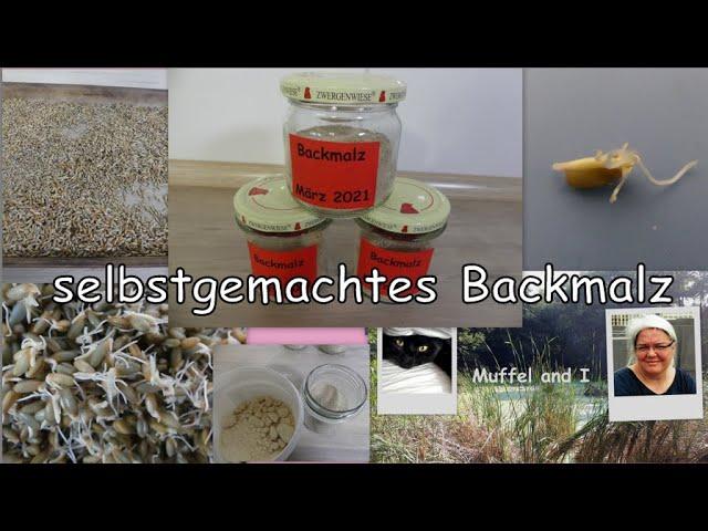 Was ist Backmalz und wie wird es hergestellt? Was ist Backmalz und wie wird es hergestellt?