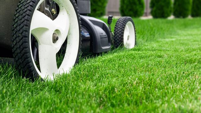 Mähroboter mit Mulchfunktion: Eine praktische Lösung für einen gepflegten Rasen Mähroboter mit Mulchfunktion: Eine praktische Lösung für einen gepflegten Rasen