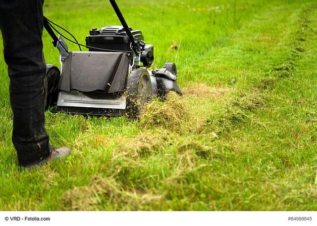 Die Vorteile einer Mulchfunktion für Ihren Rasen Die Vorteile einer Mulchfunktion für Ihren Rasen