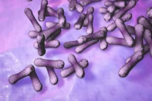 Was ist Diphtherie? Ein umfassender Überblick Was ist Diphtherie? Ein umfassender Überblick