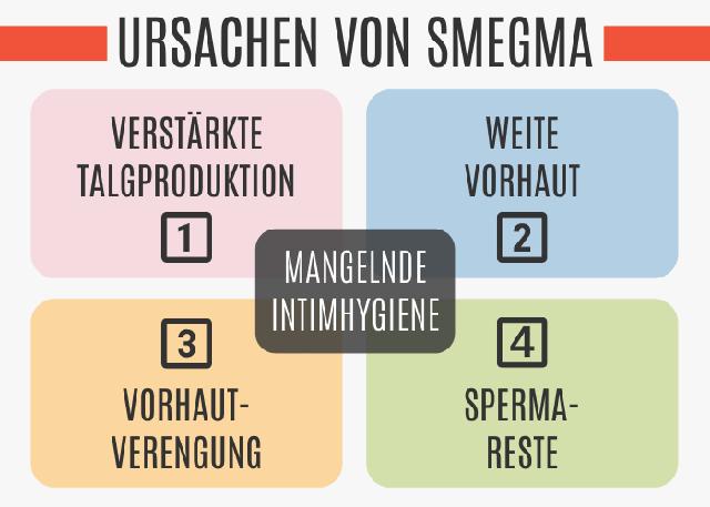 Eichelkäse: Ursachen, Vorbeugung und Behandlung Eichelkäse: Ursachen, Vorbeugung und Behandlung