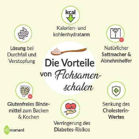 Gesundheitliche Vorteile von Flohsamen: Warum sie in keiner ausgewogenen Ernährung fehlen sollten Gesundheitliche Vorteile von Flohsamen: Warum sie in keiner ausgewogenen Ernährung fehlen sollten
