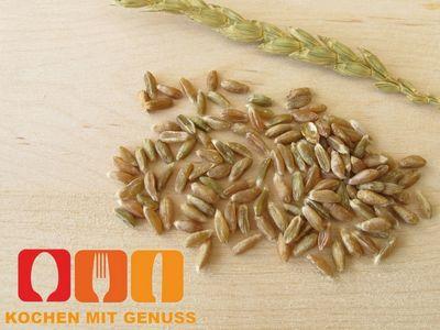 Grünkern - ein gesunder Fleischersatz und vielseitige Beilage Grünkern - ein gesunder Fleischersatz und vielseitige Beilage