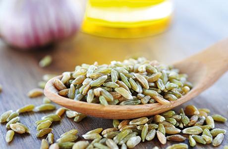 Grünkern: Herstellung, Eigenschaften und gesundheitliche Aspekte Grünkern: Herstellung, Eigenschaften und gesundheitliche Aspekte