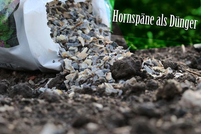 Alles über Hornspäne Wirkung, Anwendung und Vorteile Sieu Thi Do Noi