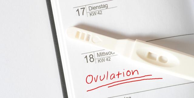 4. Ovulationstests: Die genaueste Methode zur Vorhersage des Eisprungs 4. Ovulationstests: Die genaueste Methode zur Vorhersage des Eisprungs