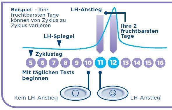 Fruchtbarkeit überwachen: Wie Ovulationstests helfen können Fruchtbarkeit überwachen: Wie Ovulationstests helfen können