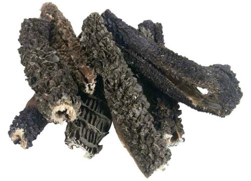 Die Bedeutung von Pansen in der Hundeernährung Die Bedeutung von Pansen in der Hundeernährung