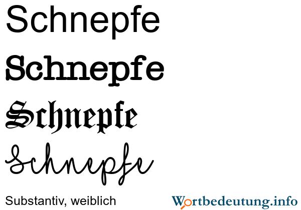 Erfahren Sie mehr über die Schnepfe: Definition und Synonyme Erfahren Sie mehr über die Schnepfe: Definition und Synonyme