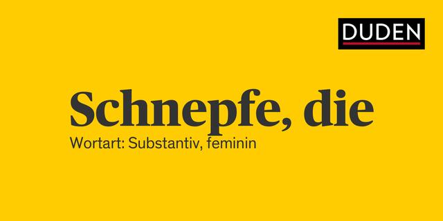 Alles über die Schnepfe: Schreibung, Synonyme und Beispiele Alles über die Schnepfe: Schreibung, Synonyme und Beispiele