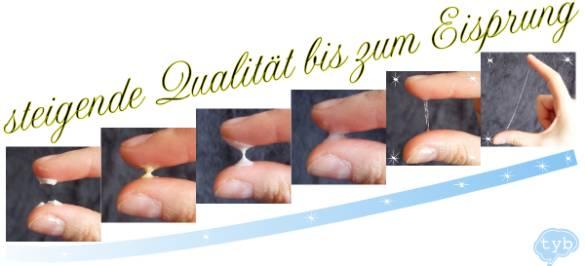 Spinnbarer Zervixschleim als Indikator für den bevorstehenden Eisprung Spinnbarer Zervixschleim als Indikator für den bevorstehenden Eisprung