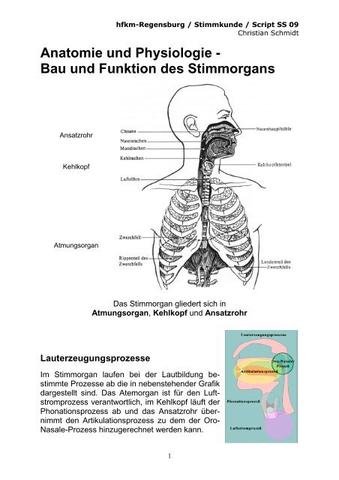 "Das Ansatzrohr: Funktion und Bedeutung für die Lautbildung" "Das Ansatzrohr: Funktion und Bedeutung für die Lautbildung"