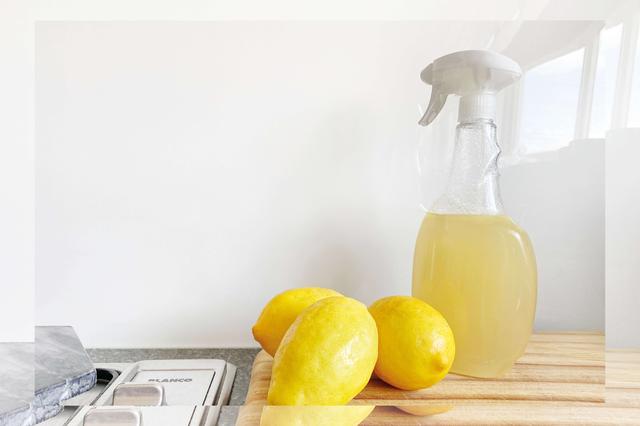 Nachhaltige Alternativen zu herkömmlichen Reinigungsmitteln Nachhaltige Alternativen zu herkömmlichen Reinigungsmitteln