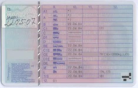 Schlüsselzahlen auf dem Führerschein: Was bedeuten sie?