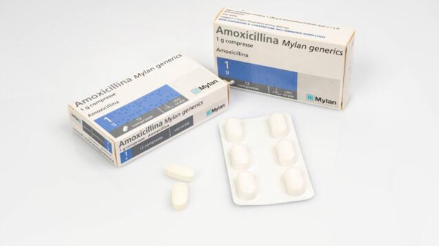 Lieferengpässe bei Amoxicillin-Präparaten: Informationen vom Hersteller Lieferengpässe bei Amoxicillin-Präparaten: Informationen vom Hersteller