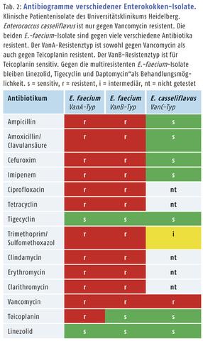 Amoxicillin und Clavulansäure: Eine effektive Kombination gegen Antibiotika-Resistenzen Amoxicillin und Clavulansäure: Eine effektive Kombination gegen Antibiotika-Resistenzen