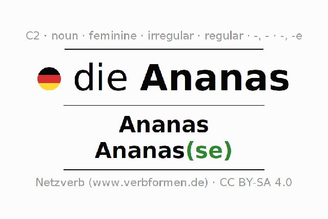 Ananasse oder Ananas Die korrekte Mehrzahl von Ananas erklärt Sieu