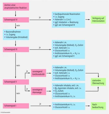 Die Gefahren eines anaphylaktischen Schocks: Auslöser, Symptome und Sofortmaßnahmen Die Gefahren eines anaphylaktischen Schocks: Auslöser, Symptome und Sofortmaßnahmen