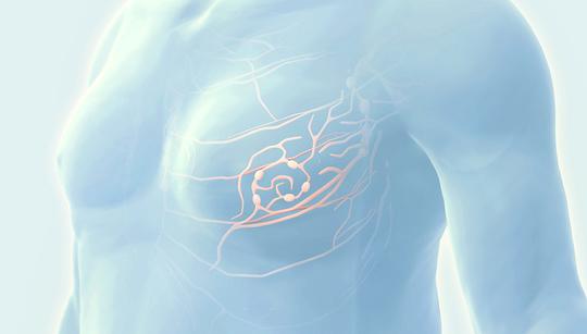 Männermedizin: Eine Einführung in die Andrologie