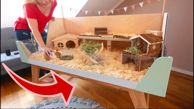 Anleitung: Meerschweinchenhaus selber bauen - Tipps und Tricks