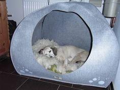 Kreative Ideen: Wie du eine individuelle Hundehöhle selbst gestalten kannst