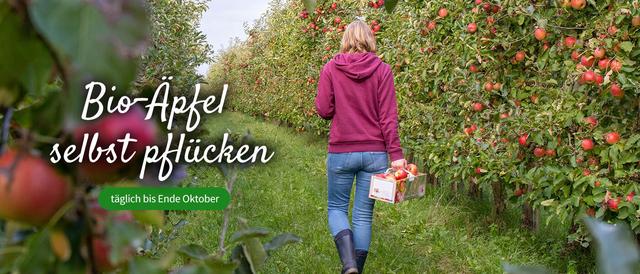 Entdecken Sie den Herz-Apfel-Garten: Äpfel selber pflücken im Alten Land