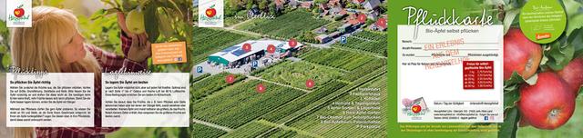 Herzapfelhof: Selbstpflücken von leckeren Bio-Äpfeln
