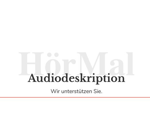 Barrierefreiheit durch Audiodeskription: Zugang zu Informationen erleichtern Barrierefreiheit durch Audiodeskription: Zugang zu Informationen erleichtern