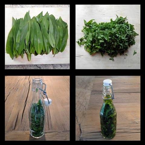 Selbstgemachtes Bärlauchöl: Ein einfaches Rezept zum Selbermachen