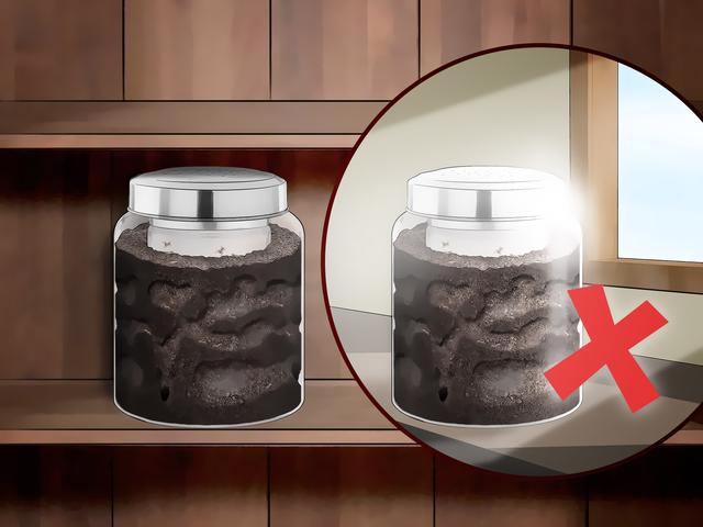 Wie Sie eine Ameisenfarm im Garten selbst bauen können Wie Sie eine Ameisenfarm im Garten selbst bauen können