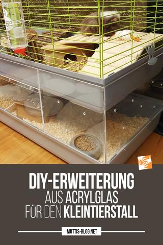 DIY-Projekt: Eigenen Meerschweinchenstall konstruieren und gestalten DIY-Projekt: Eigenen Meerschweinchenstall konstruieren und gestalten
