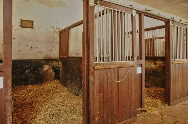 Bauanleitung für einen Pferdestall: Alles was Sie wissen müssen, um Ihren eigenen Stall zu errichten Bauanleitung für einen Pferdestall: Alles was Sie wissen müssen, um Ihren eigenen Stall zu errichten