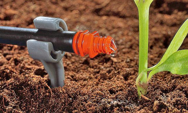 Selbstgemachtes Bewässerungssystem: Tropfschlauch für den Gartenbau