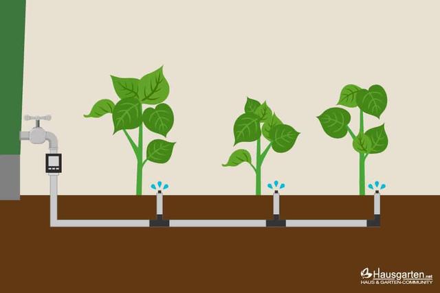 Günstige Alternative: Tropfschlauch selber bauen für die Pflanzenbewässerung