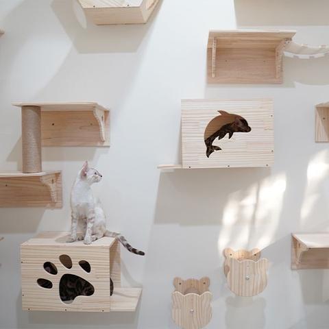 Bauanleitung: Wie du eine maßgeschneiderte Kletterwand für deine Katze baust Bauanleitung: Wie du eine maßgeschneiderte Kletterwand für deine Katze baust